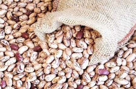 «حباب» به قیمت حبوبات رسید