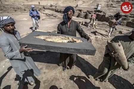 ماهی طلایی در مصر،اخبار گوناگون،خبرهای گوناگون