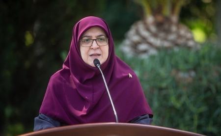 واکنش سخنگوی دولت به بازگشت بابک زنجانی به فعالیت‌های اقتصادی/ مهاجرانی: ناترازی برق ۲۰ هزار مگاوات است