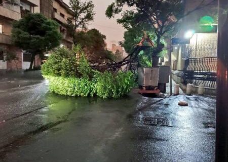 تهران و قم طوفانی شد