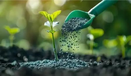 چگونه با کود سه بیست باغچه‌ای سرسبز و پرمحصول داشته باشیم؟