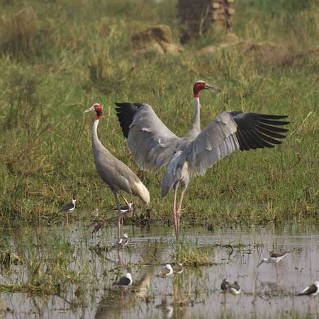kaladu-national-park-india-3