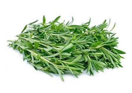 نحوه کاشت مرزه و نگهداری از آن