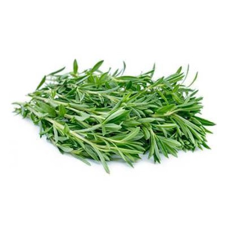 نحوه کاشت مرزه و نگهداری از آن