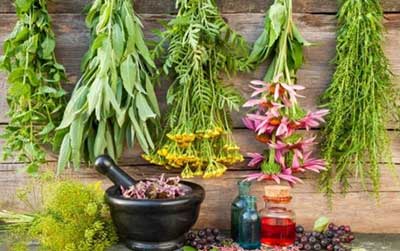 جایگزینی داروی گیاهی در درمان افسردگی؛ مردود یا قبول؟