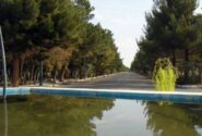 ​آشنایی با پارک جنگلی سوکان؛ بزرگ‌ترین تفرجگاه طبیعی سمنان