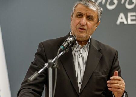 رئیس سازمان انرژی اتمی: شاهد برخی از پیشرفت‌ها در مذاکرات غیرمستقیم با آمریکا هستیم