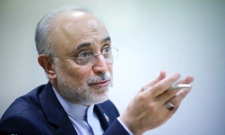 علی اکبر صالحی: با چینی‌ها قرارداد ۶۰ میلیون دلاری داشتیم اما رها کردند و رفتند
