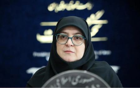 مهاجرانی: توجه دولت بر این است که اتباع غیرمجاز را به کشورشان برگرداند