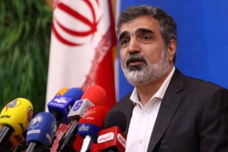 سخنگوی سازمان انرژی اتمی: آژانس ۱۲۵ بازرس دارد و ما فقط ۶-۷ بازرس را لغو انتصاب کردیم