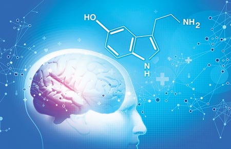 سروتونین چیست و خوراکی های منبع سروتونین کدامند؟