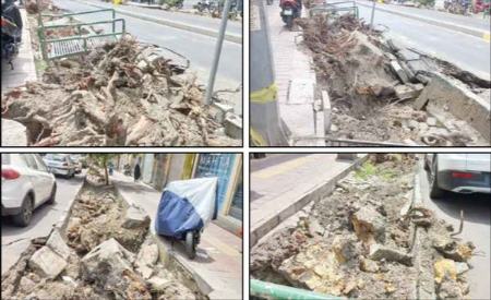 واکنش‌ها به قطع شماری از درختان خیابان ‘فلسطین’ تهران در تعطیلات اخیر | شهرداری منطقه: بخاطر درخواست‌های متعدد مردمی بود!