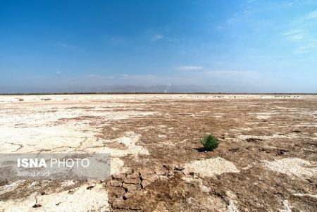 آلودگی هوا در تهران،اخبار اجتماعی،خبرهای اجتماعی