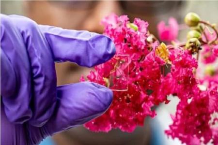 ابداع پوشش شیشه‌ای منحصربه‌فرد برای مقابله با گرما، سرما و اشعه فرابنفش