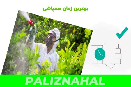 بهترین زمان سم پاشی نهال های گردو، بادام و گلابی