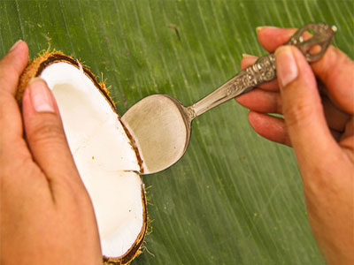 نحوه باز کردن نارگیل,آموزش باز کردن نارگیل
