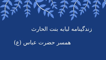 زندگینامه لبابه بنت الحارث، همسر حضرت عباس (ع)