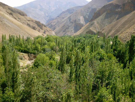 گرمسار و شگفتی‌های آن: نگاهی به جذاب‌ترین مکان‌های دیدنی در این منطقه