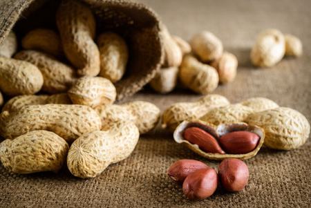 بادام‌زمینی روند پیری را آهسته می‌کند