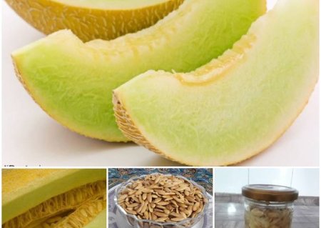 خشک کردن تخمه خربزه, نحوه خشک کردن تخمه خربزه,طرز خشک کردن تخمه خربزه