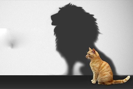 اثر دانینگ کروگر: برآورد بیش از حد توانایی