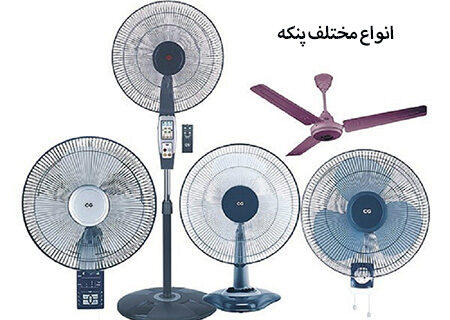 پنکه‌ها در فصل گرما؛ راهنمای خرید پنکه برای راحتی و خنکی