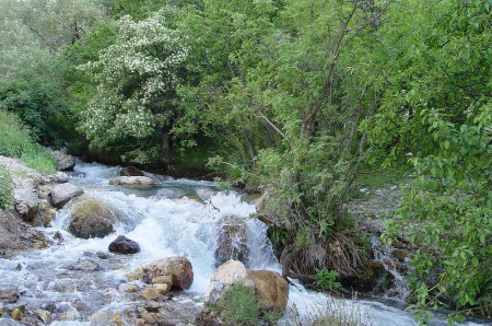 چشمه‌های زلال فریدن,تفریح در فریدن,چشمه‌های پرآب فریدن
