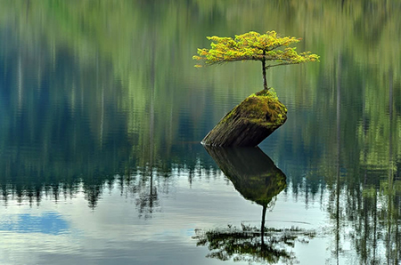 نجواهای درون؛ دلنوشته‌هایی برای خودم