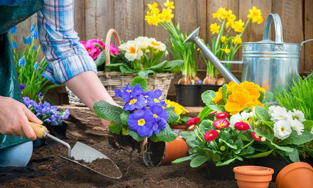 تاثیرات ورزش برای دفع سنگ کلیه, ورزش برای دفع سنگ کلیه, بهترین ورزش برای دفع سنگ کلیه