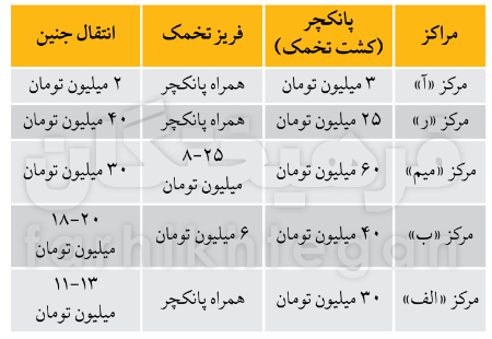 قیمت‌های نجومی در مراکز درمان ناباروری؛ بیش از یک میلیارد تومان پیاده می شوید!