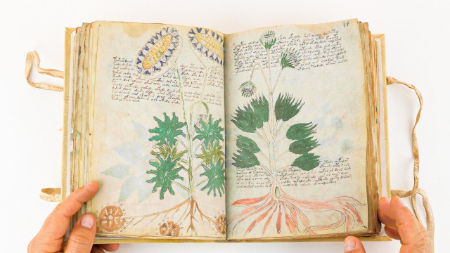راز 500 ساله نسخه خطی وینیچ ,اخبارگوناگون,خبرهای گوناگون 