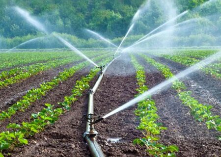 یک درصد صرفه‌جویی آب در بخش کشاورزی، به اندازه ۱۰ درصد صرفه‌جویی در بخش شرب ارزش دارد