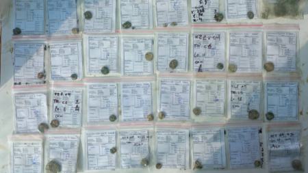 کشف ۱۰۰ سکه تاریخی در اصفهان