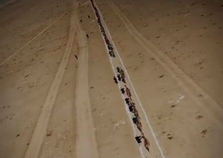 قزاقستان با «طولانی‌ترین کاروان شتر» وارد گینس شد