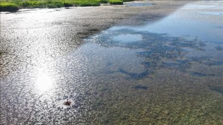 پاییز بی‌باران در راه است | هشدار درباره تشنگی ایران