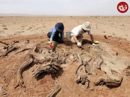 دیوار،اخبار گوناگون،خبرهای گوناگون