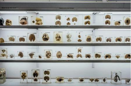 عجیب‌ترین موزه‌های هند،اخبار گوناگون،خبرهای گوناگون