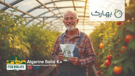 بهترین کود جلبک بازار