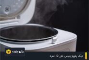 دیگ پلوپز پارس خزر 12 نفره| انتخابی حرفه ای برای مهمانی های بزرگ
