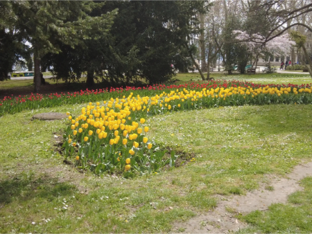 جاذبه‌های گردشگری وارنا, پارک ساحلی وارنا