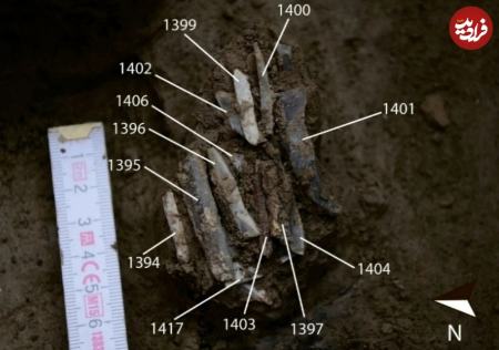 ابزارهای سنگی،اخبار گوناگون،خبرهای گوناگون