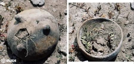 تپه،اخبار گوناگون،خبرهای گوناگون