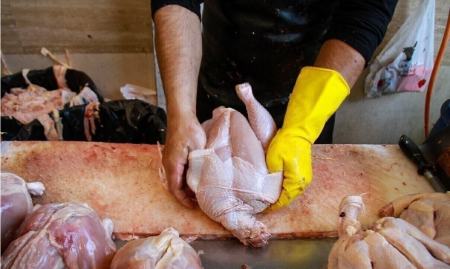 مرغ دولتی فقط روی کاغذ؛ وعده ۱۳۵ هزار تومانی اما در واقعیت ۱۷۰ هزار تومان