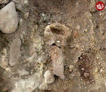 فرمانده ارتش شیلا،اخبار گوناگون،خبرهای گوناگون