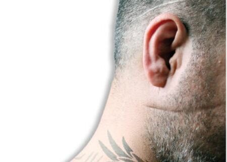 شرخرها در فضای مجازی جولان می‌دهند