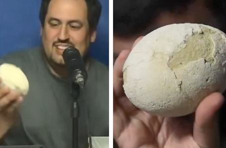 کشف تخم دایناسور ۷۰ میلیون ساله در آرژانتین