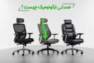 صندلی ارگونومیک چیست؟ راهنمای کامل، تجربی و کاربردی برای محافظت از سلامتی در دنیای نشسته امروز