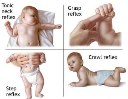 بازتاب جستجوی دهانی نوزادان