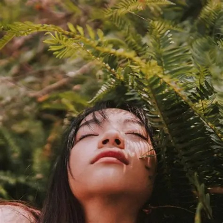 حمام جنگل: سنت ژاپنی برای هماهنگی با طبیعت