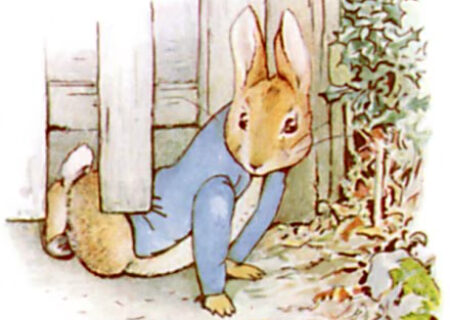 داستان زیبای پیتر خرگوشه